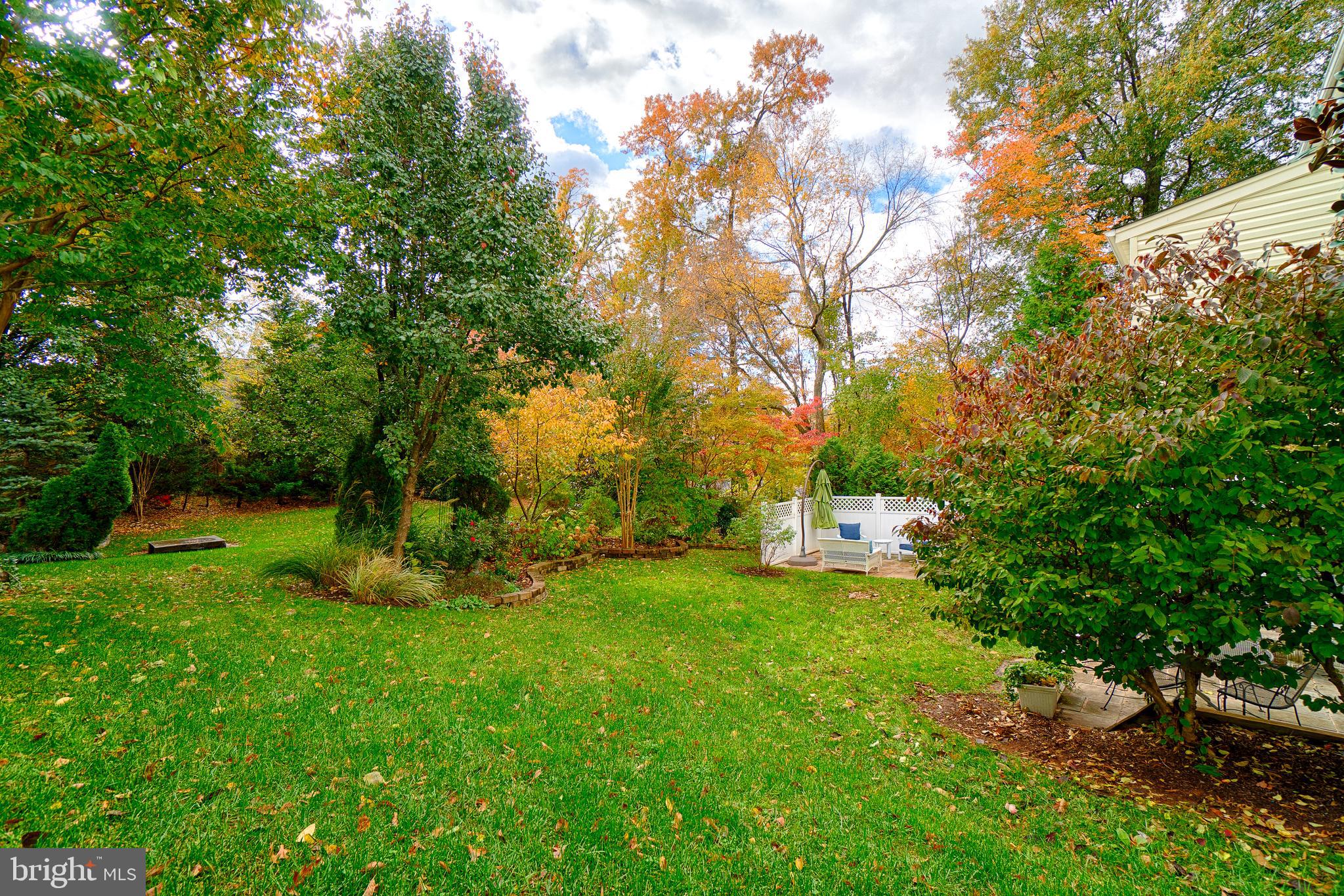 12407 Brown Fox Way Reston, VA 20191 - Photo 5 of 45 HOA mows the lawn!!