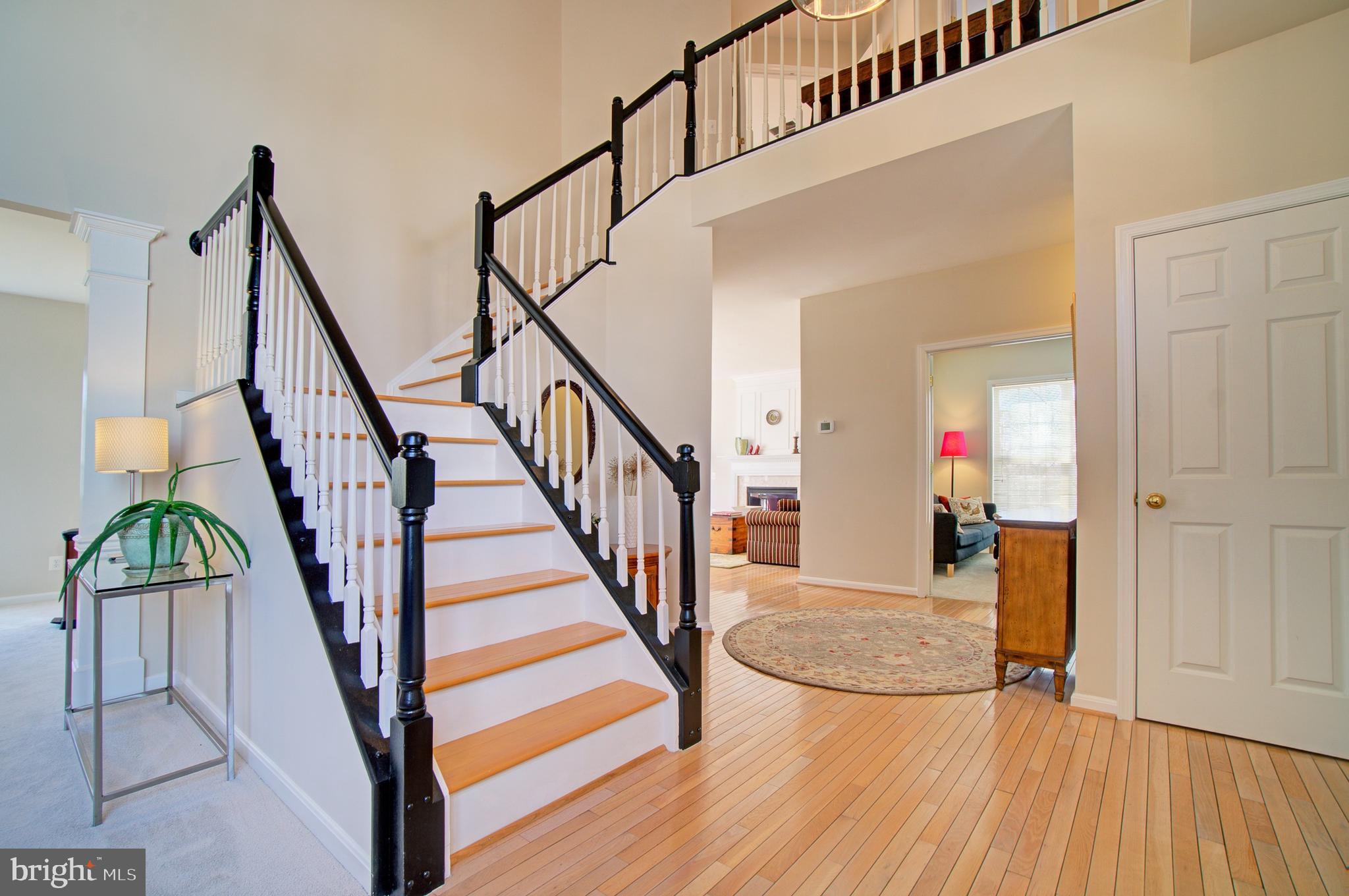 12407 Brown Fox Way Reston, VA 20191 - Photo 9 of 45 Exquisite Stairway