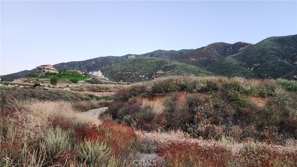 10049 Snowdrop Road Rancho Cucamonga, CA 91737 - Photo 9 of 11 a view of a mountain in the distance in a field
