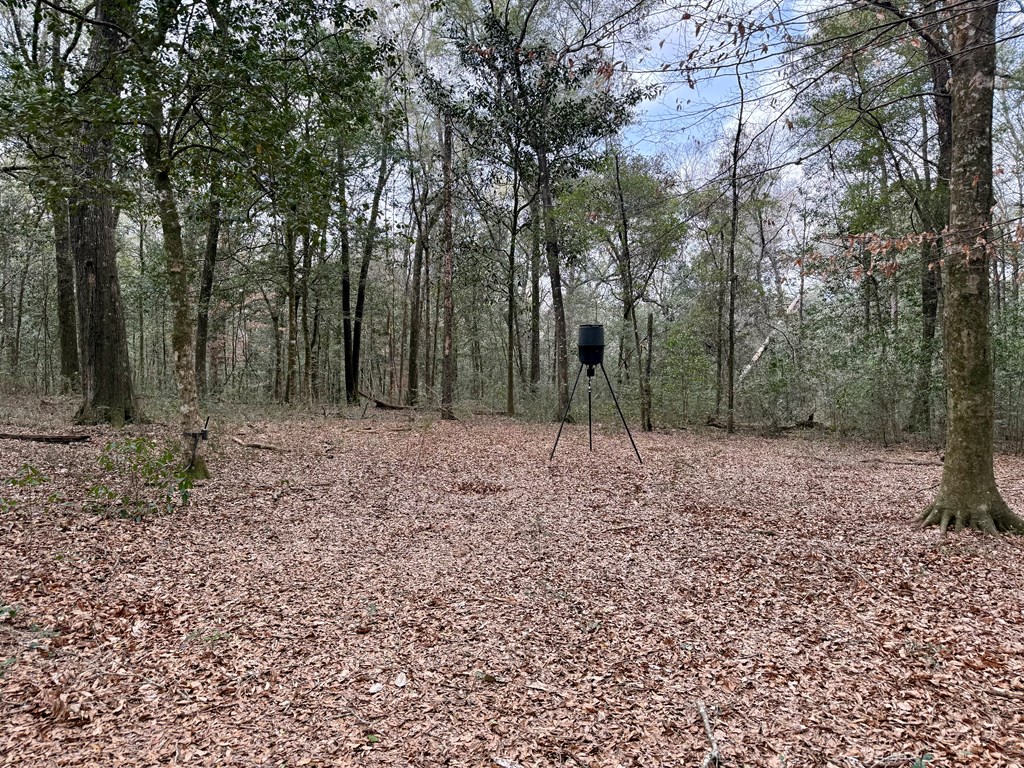 836 Campbell Road Hartford, AL 36344 - Photo 21 of 41