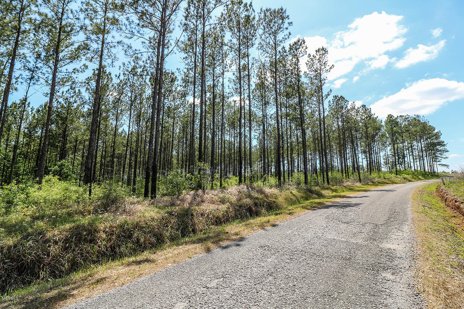 7.29-acres Homestead Road Lucedale, MS 39452 - Photo 1 of 11 Primary Photo