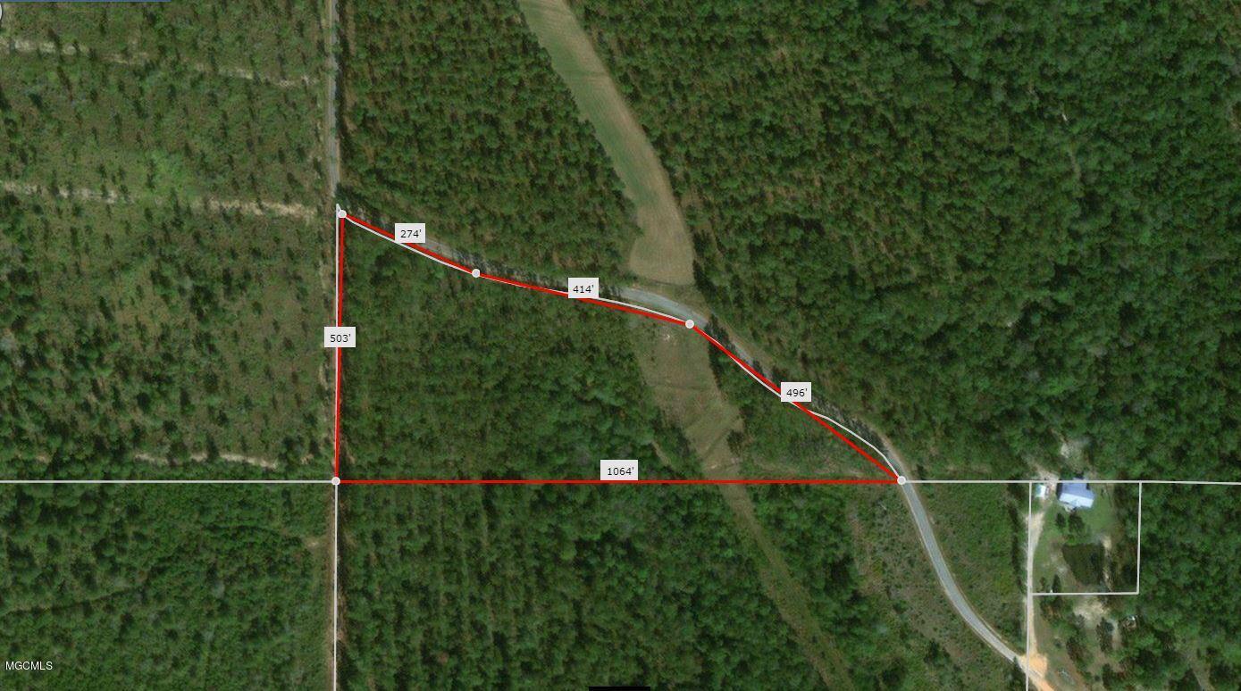 7.29-acres Homestead Road Lucedale, MS 39452 - Photo 11 of 11 Capture