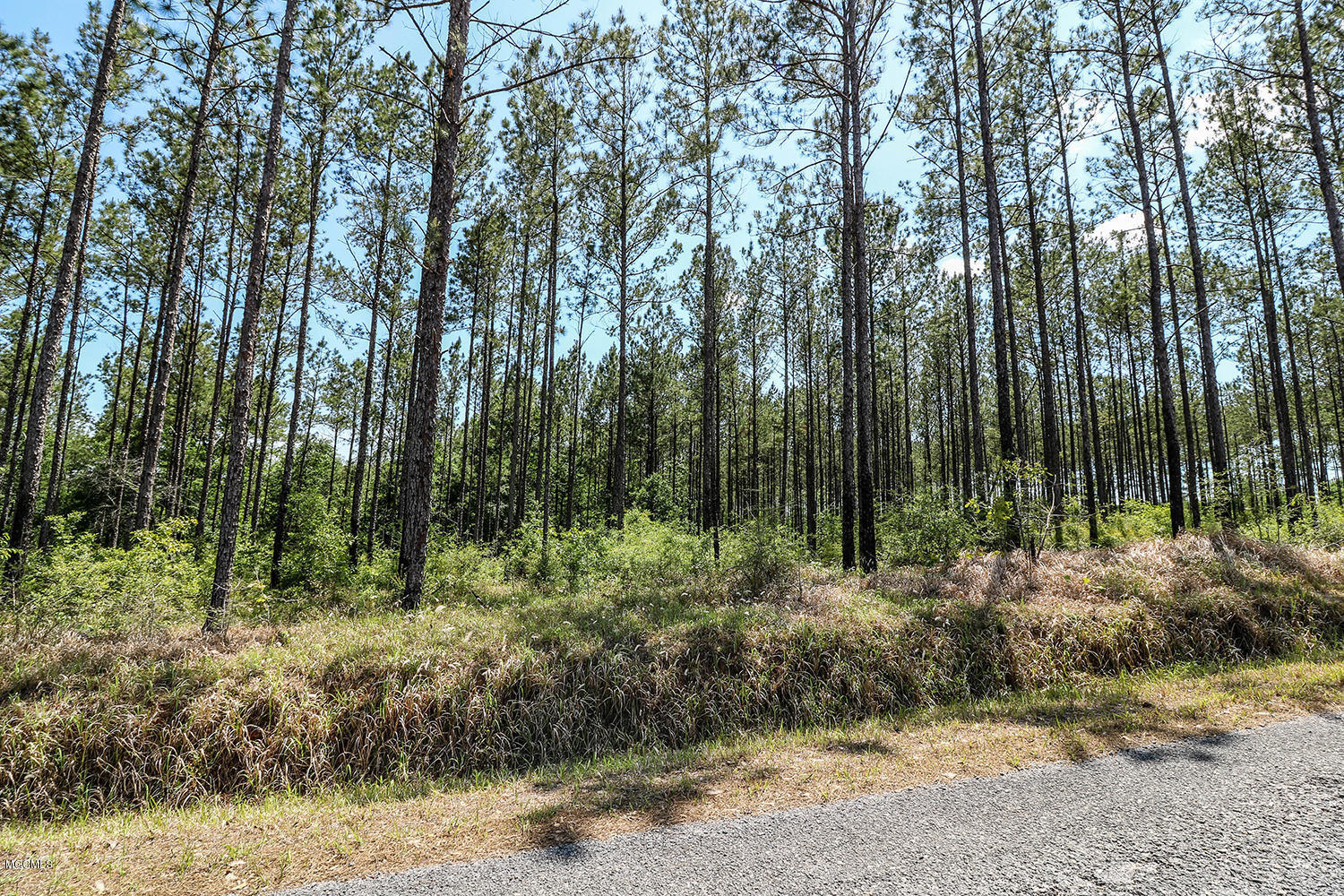 7.29-acres Homestead Road Lucedale, MS 39452 - Photo 10 of 11 10