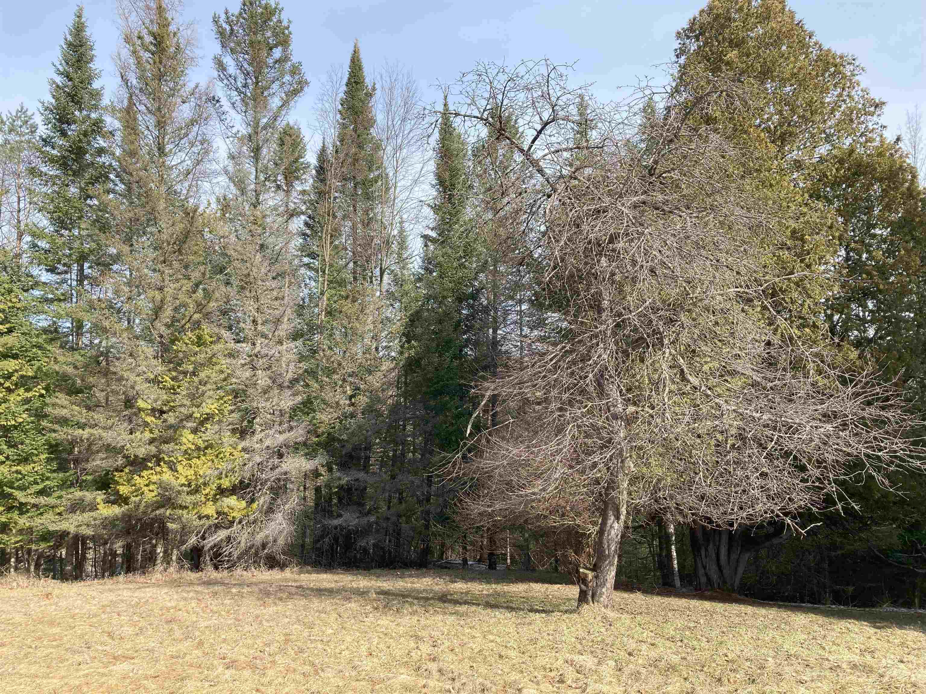3585 Lupton Road Lupton, MI 48635 - Photo 39 of 51 1920071-5ab39ef3-3859-40f7-97e0-cd7ade3e4c53.JPG