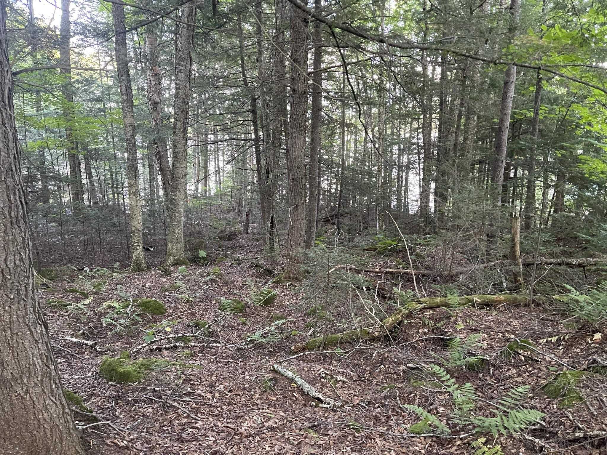 Lot 27 Westside Lake Road Maidstone, VT 05905 - Photo 5 of 10