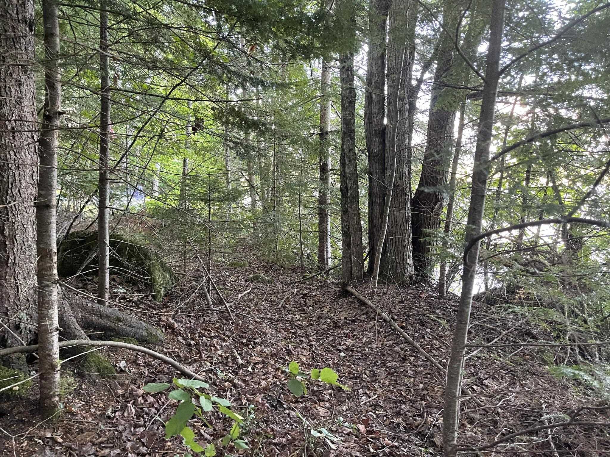 Lot 27 Westside Lake Road Maidstone, VT 05905 - Photo 7 of 10