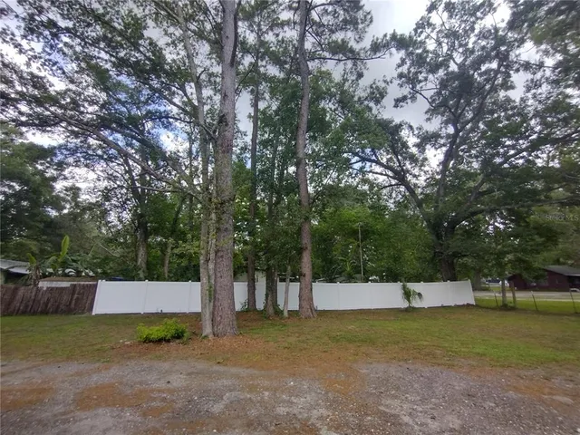 a view of a backyard with large trees