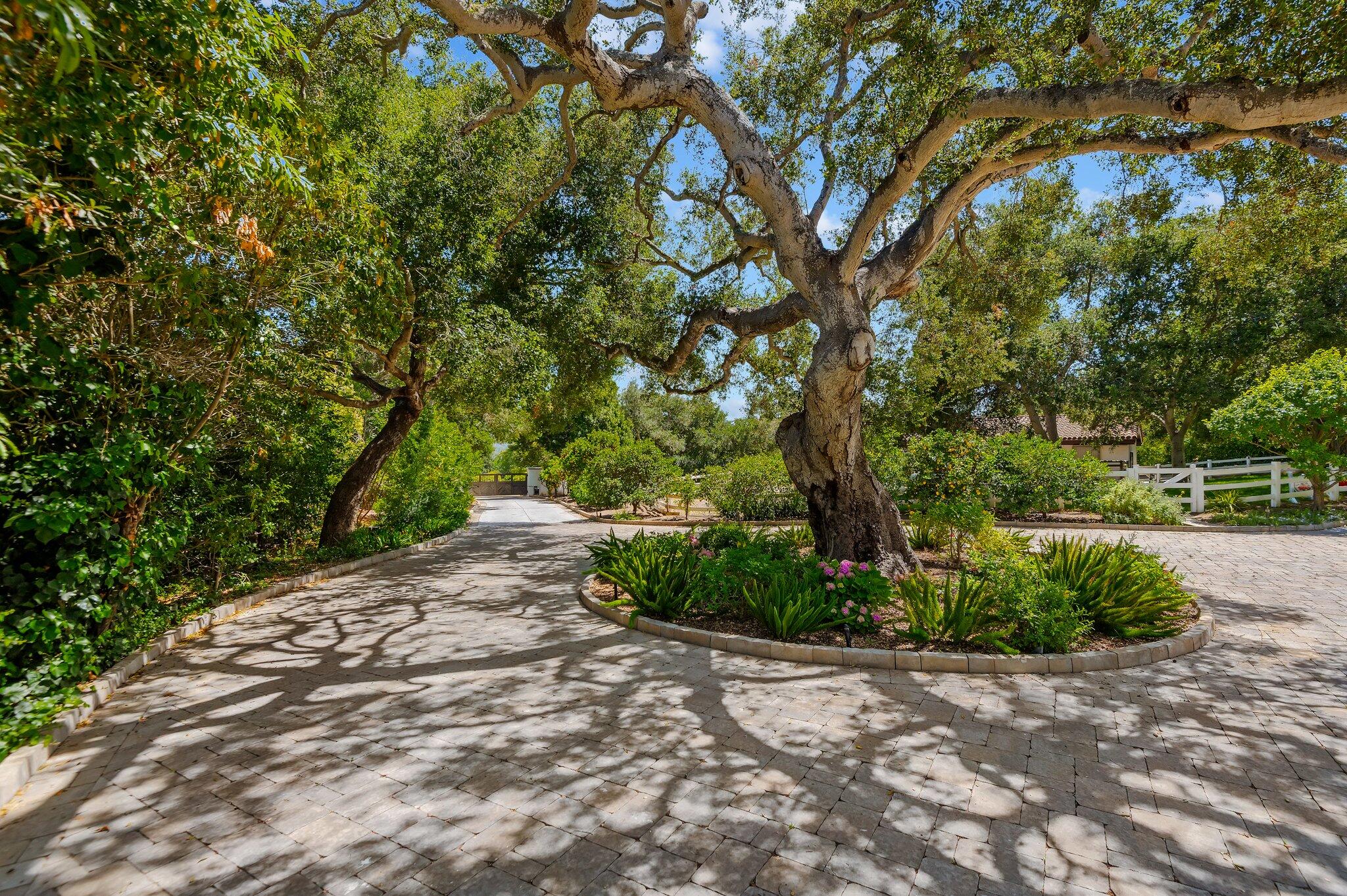 695 Via Hierba Santa Barbara, CA 93110 - Photo 6 of 70 Driveway Oak