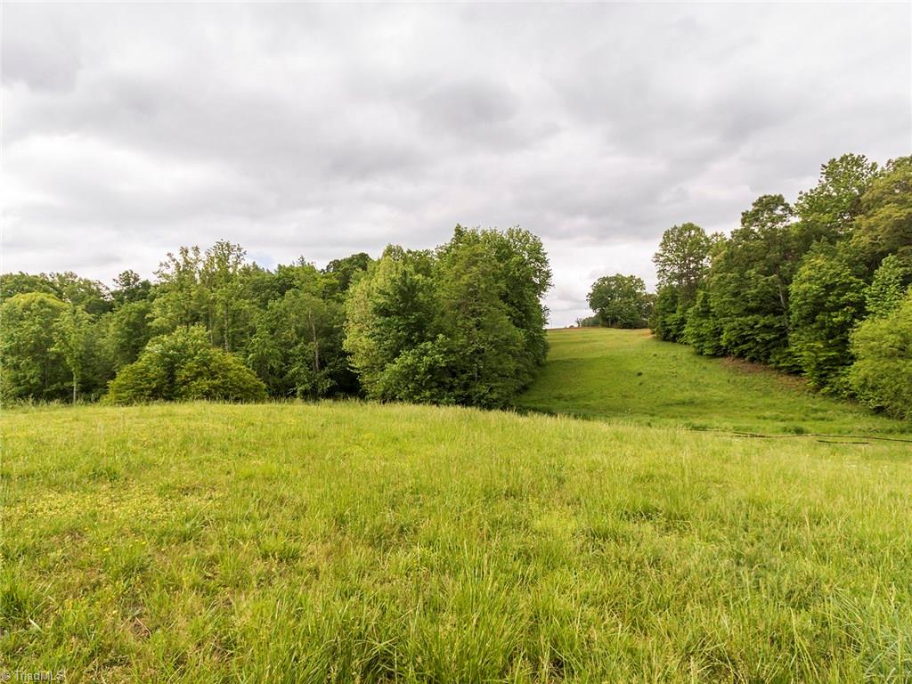 8548 Benbow-Merrill Road Oak Ridge, NC 27310 - Photo 29 of 30