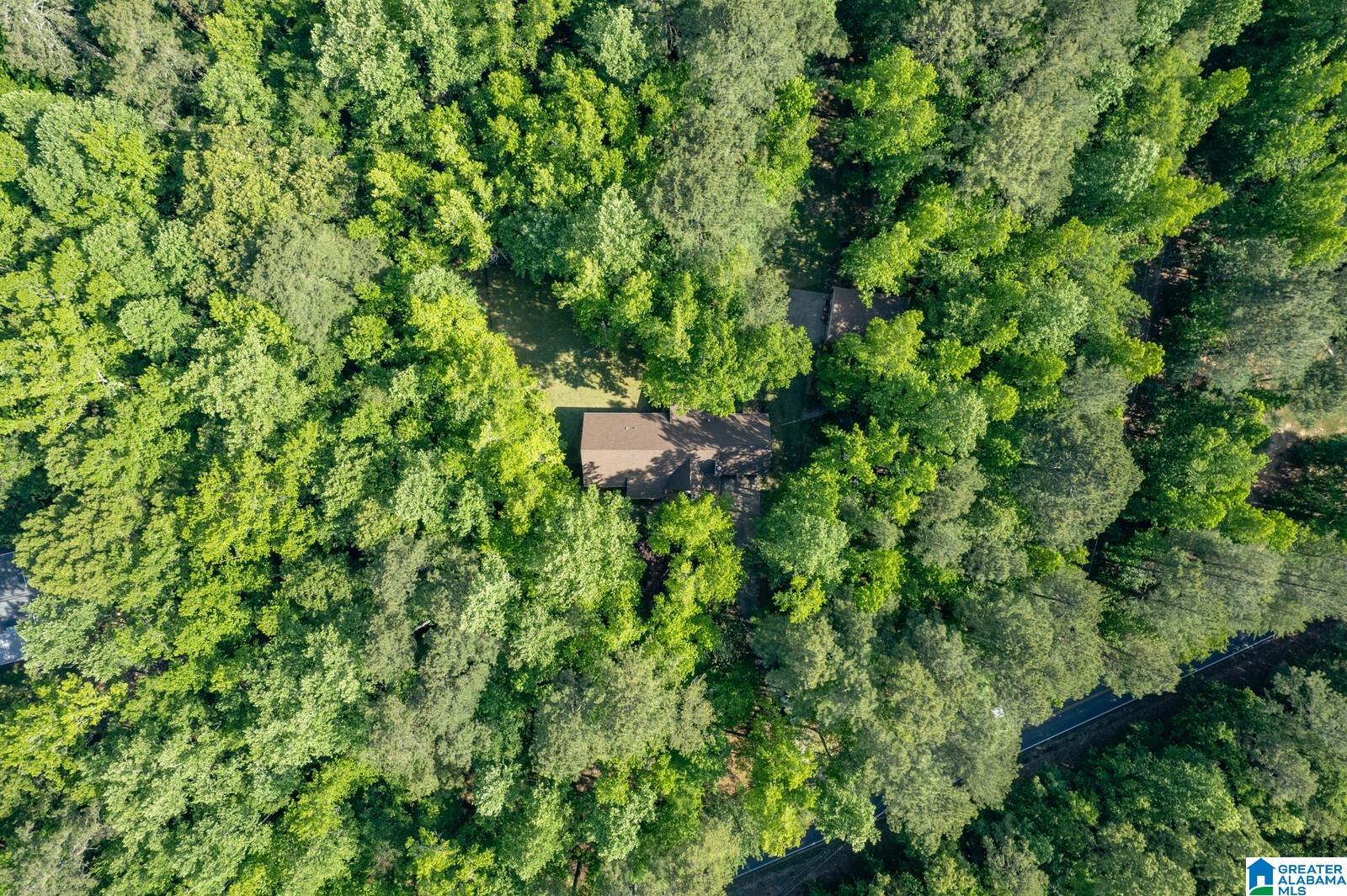 6867 Deer Haven Road Pinson, AL 35126 - Photo 48 of 50