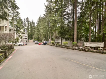 a view of road with trees