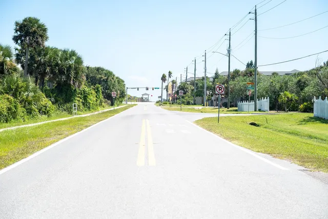 a view of a park with palm trees