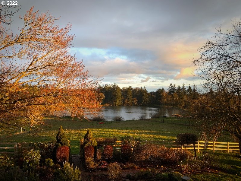 10292 Liberty Road South Salem, OR 97306 - Photo 30 of 32 a view of a lake with a yard