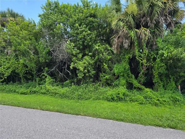 a view of a garden with a tree