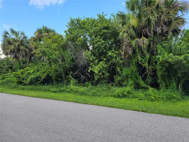 a view of a yard with a tree
