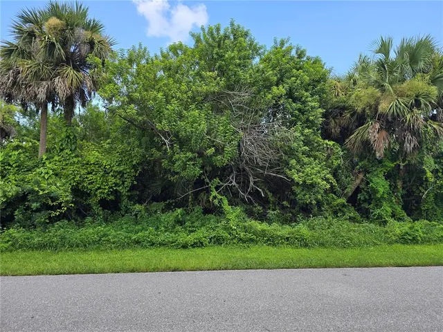 a view of a backyard with a garden and plants