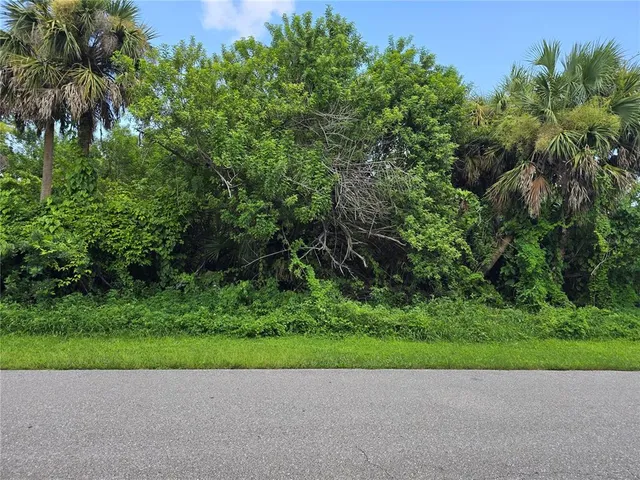 a view of a garden with a plant