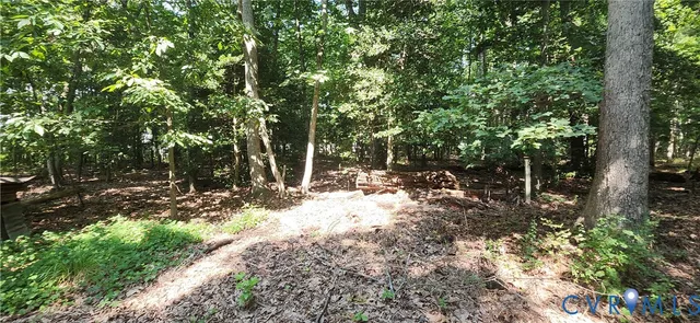 a view of a tree with a yard