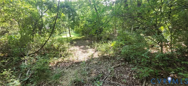 a view of a yard with a tree