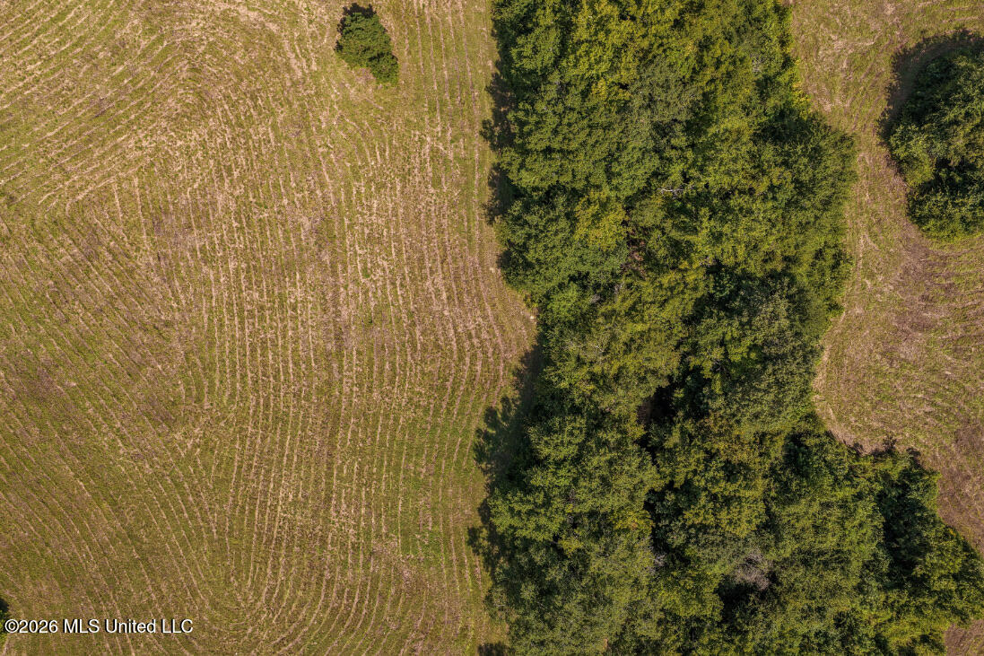 5056 Bethesda Road Crystal Springs, MS 39059 - Photo 19 of 48 DJI_20260818112458_0719_D