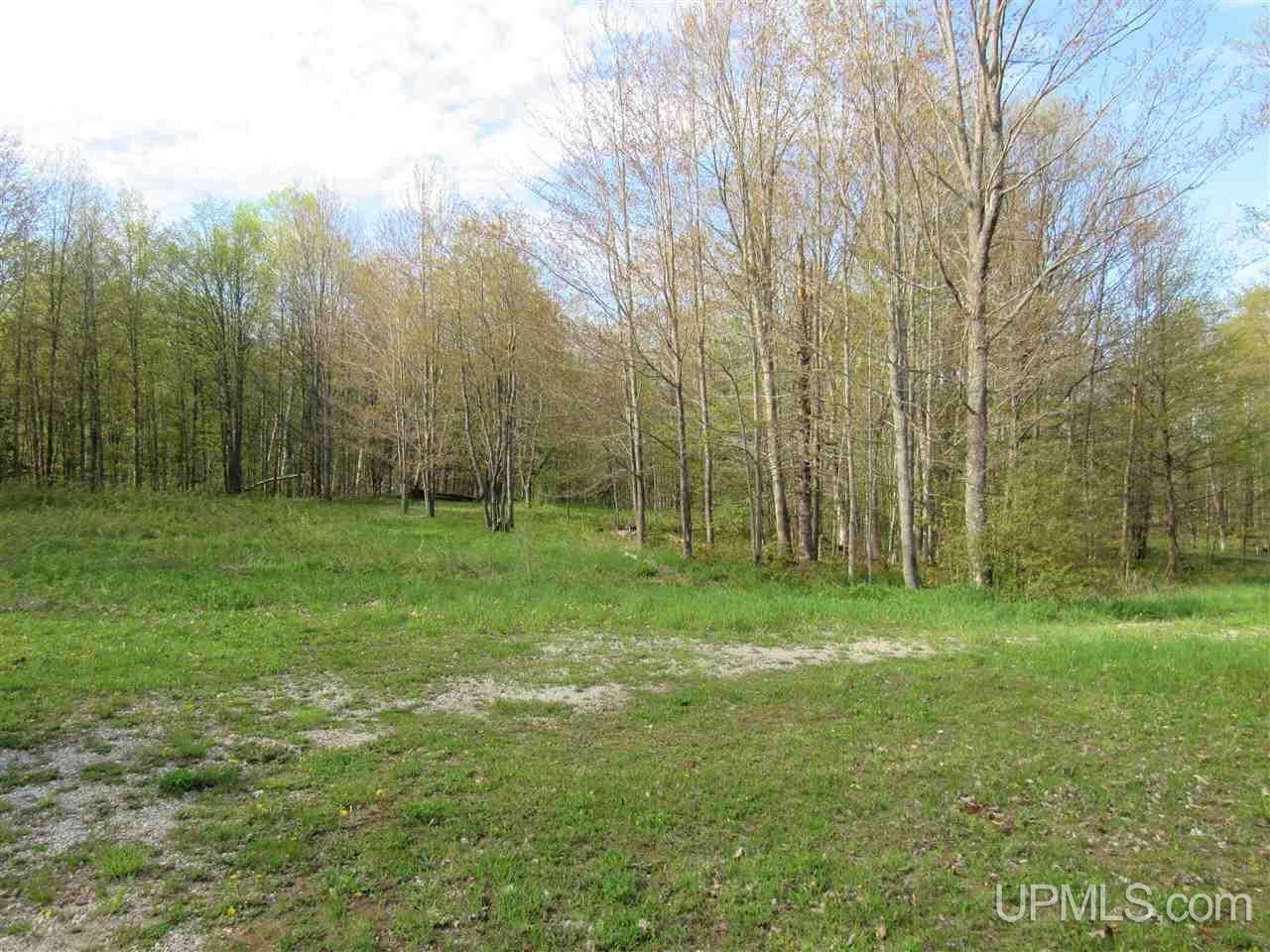 22431 Peterson Road Nisula, MI 49952 - Photo 2 of 24 Gallery Image 2
