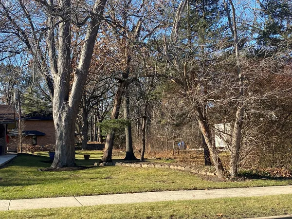 a view of a yard with a tree