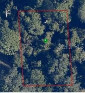 a bird view of a house