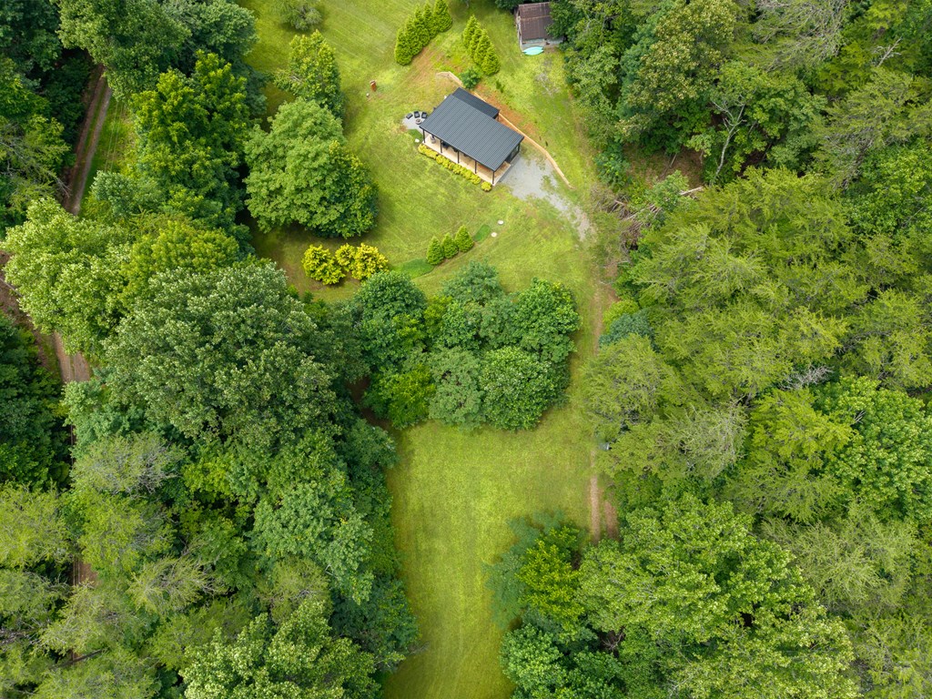 1824 Colwell Road Blue Ridge, GA 30513 - Photo 46 of 52 Gallery Image 46