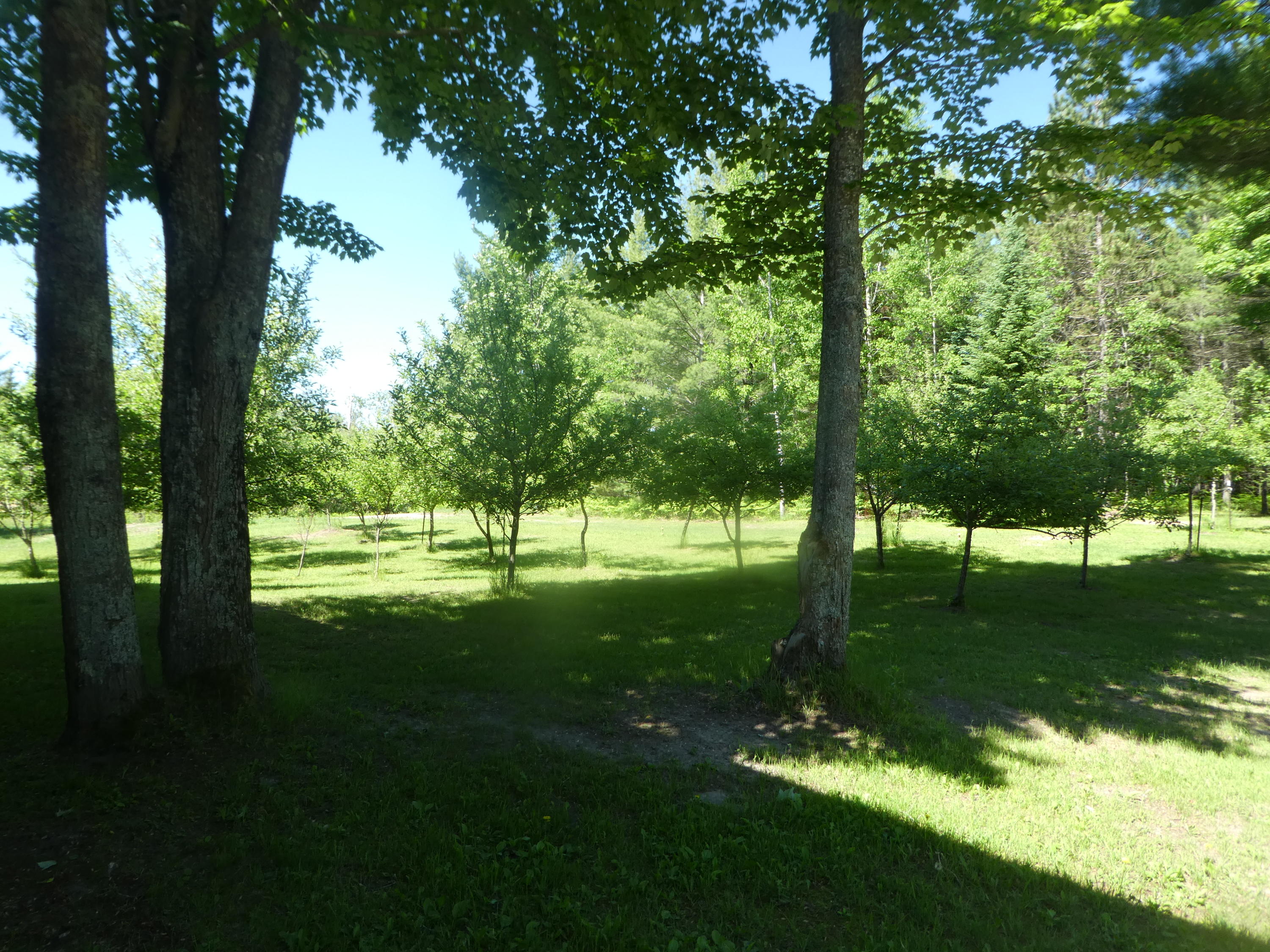 6350 Graham Road Alpena, MI 49707 - Photo 42 of 61 Gallery Image 42