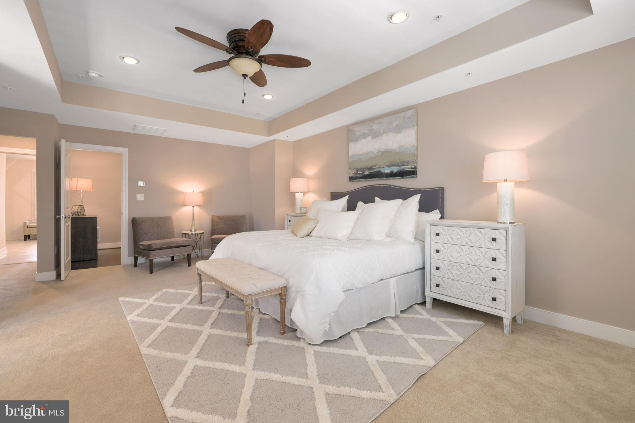 246 Baldwin Street Gaithersburg, MD 20878 - Photo 32 of 48 4th Floor Primary Suite