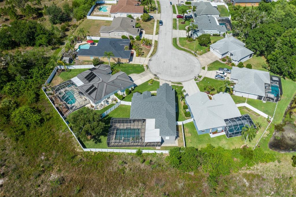 8918 Linebrook Drive Trinity, FL 34655 - Photo 73 of 76