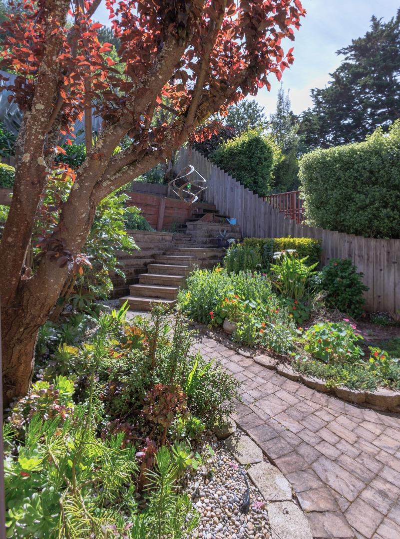 803 Big Bend Drive Pacifica, CA 94044 - Photo 35 of 47 a backyard of a house with lots of green space