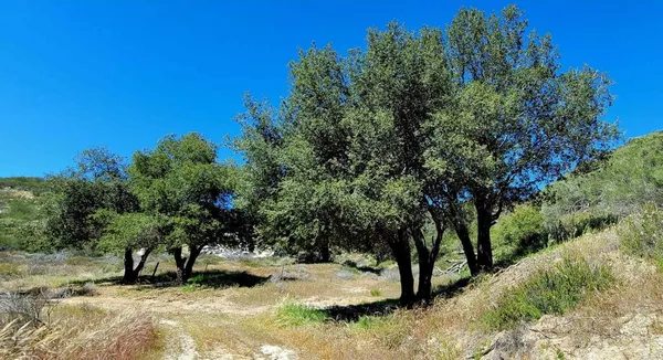 $1,579,000 | 26380 San Felipe Road, Warner Springs, CA 92086