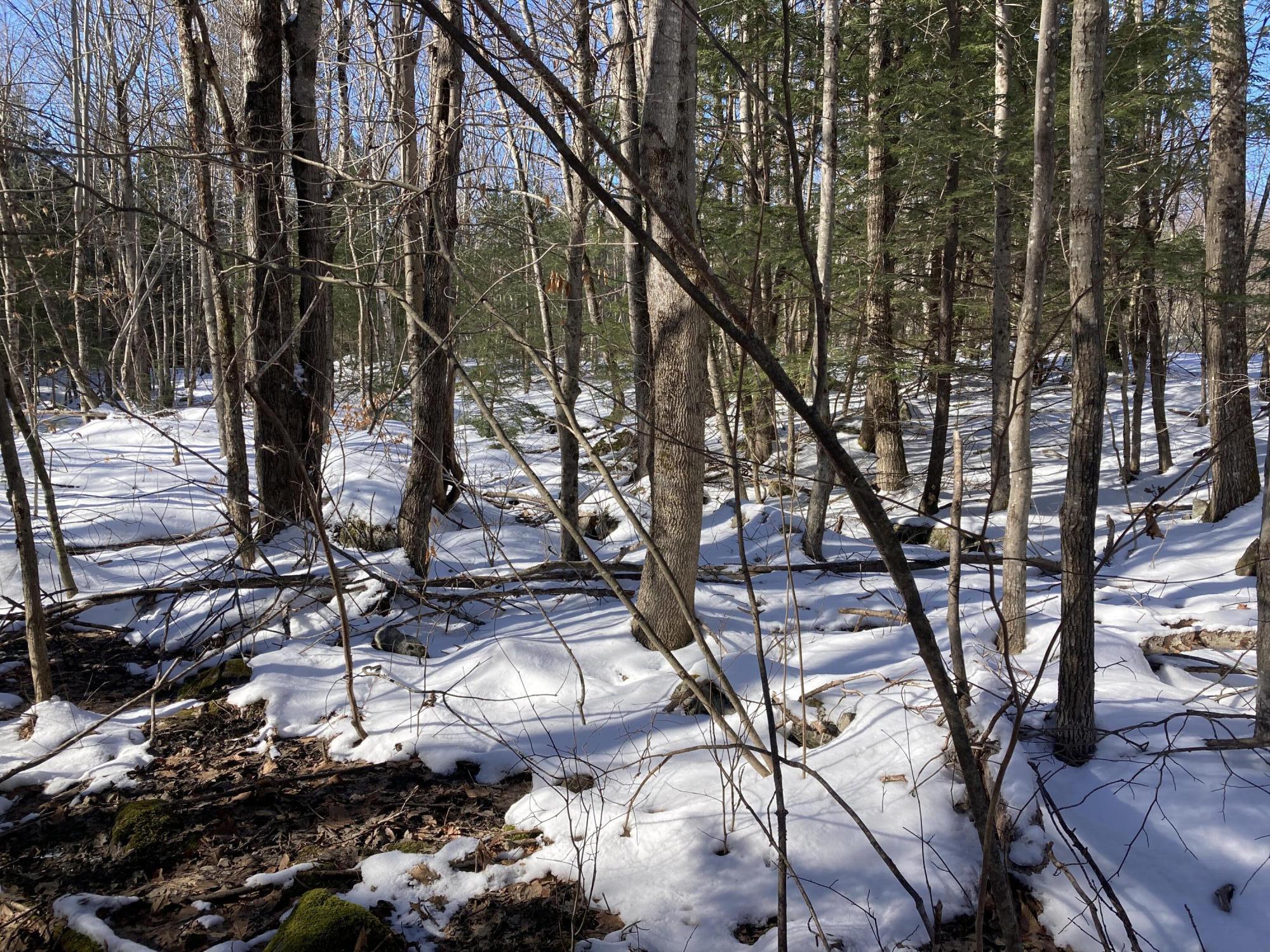 M7-l99h Bolton Hill Road Augusta, ME 04330 - Photo 16 of 30 37