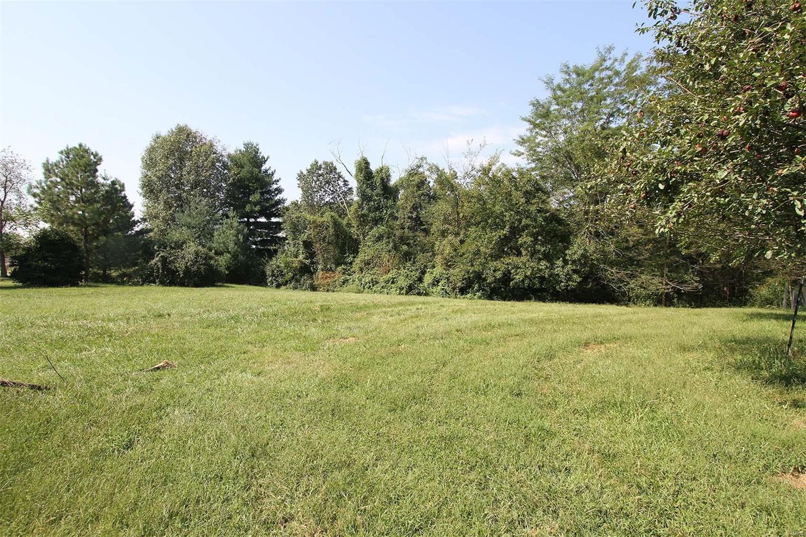 13265 Fessler Road Dow, IL 62022 - Photo 54 of 69