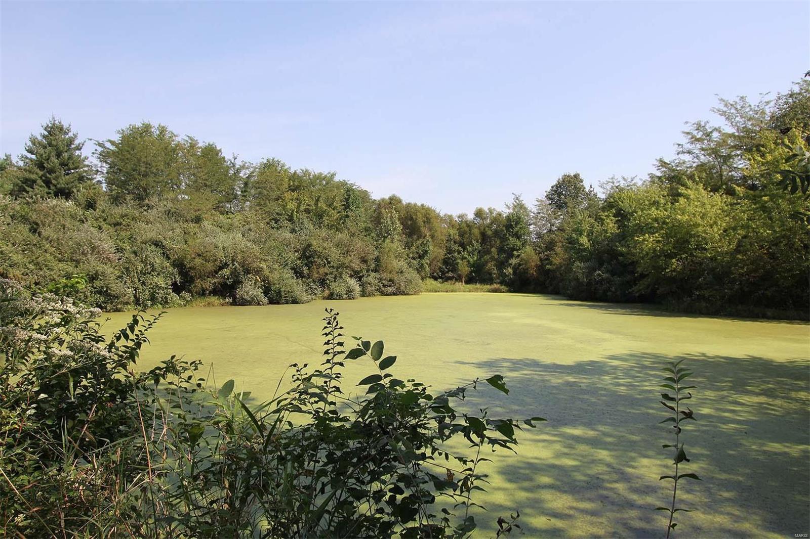13265 Fessler Road Dow, IL 62022 - Photo 59 of 69