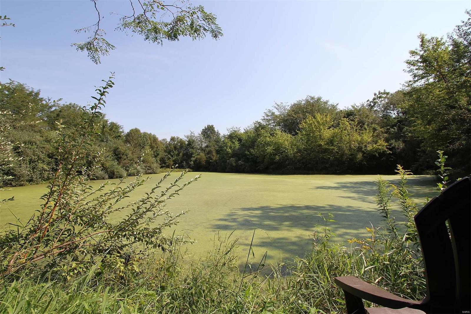 13265 Fessler Road Dow, IL 62022 - Photo 60 of 69