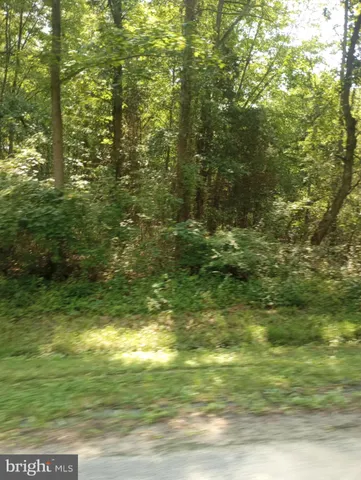 $49,900 | Cloquet Road, Chestertown, MD 21620