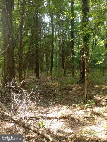 $49,900 | Cloquet Road, Chestertown, MD 21620