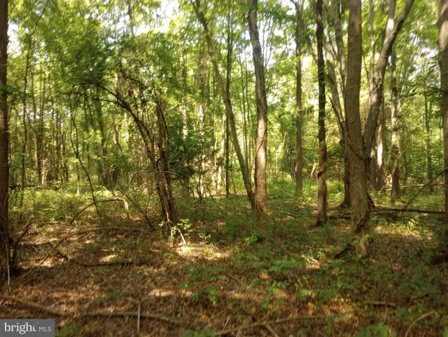 $49,900 | Cloquet Road, Chestertown, MD 21620