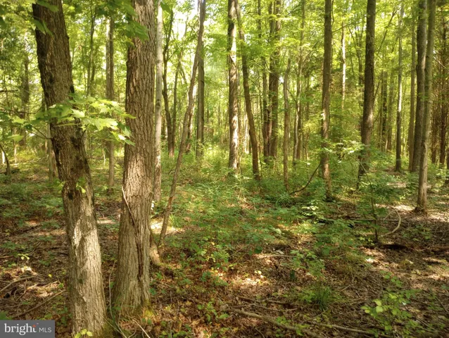 $49,900 | Cloquet Road, Chestertown, MD 21620