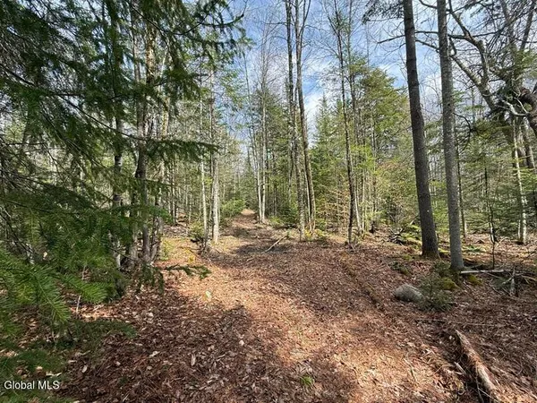 $75,000 | L34.4 Potash Hill Road, Unit 4, Olmstedville, NY 12857