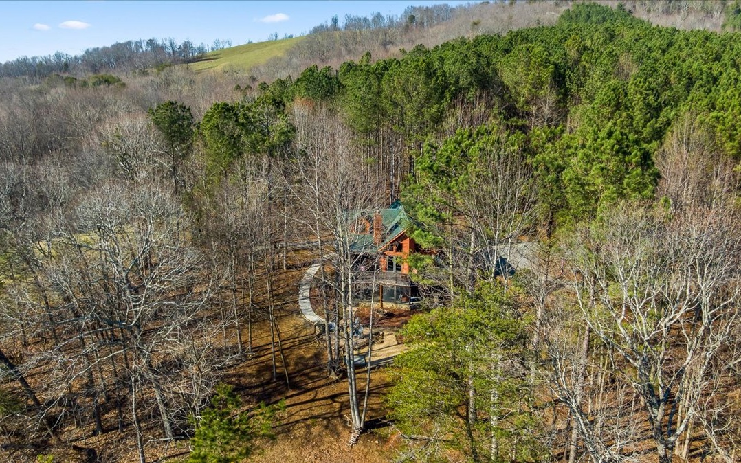 492 Black Bear Ridge Road Ellijay, GA 30536 - Photo 62 of 67 Additional View