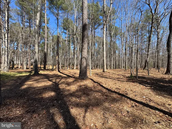$1,399,900 | 12001 Honor Bridge Farm Drive, Spotsylvania, VA 22551