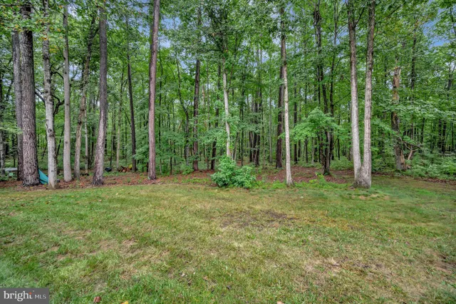 a bathroom with a granite countertop sink a large mirror and a wooden floors