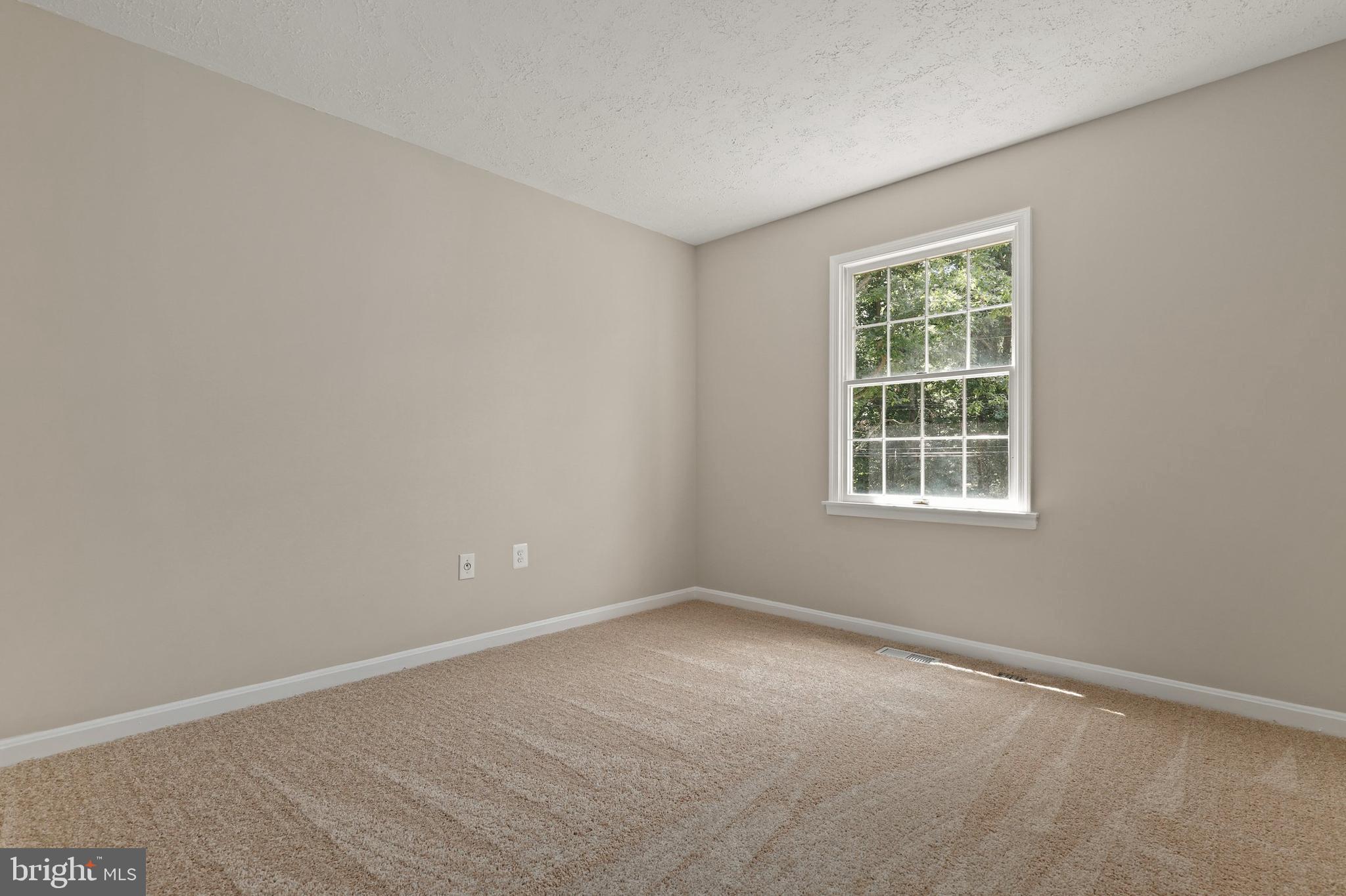 15309 Peach Orchard Road Silver Spring, MD 20905 - Photo 23 of 43