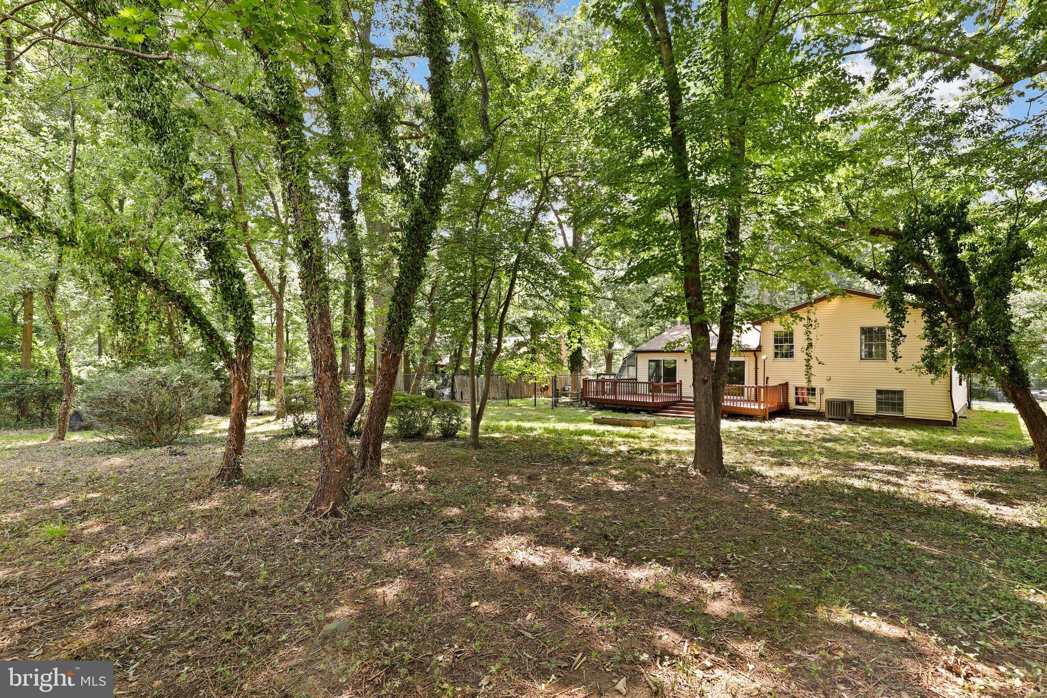 15309 Peach Orchard Road Silver Spring, MD 20905 - Photo 37 of 43