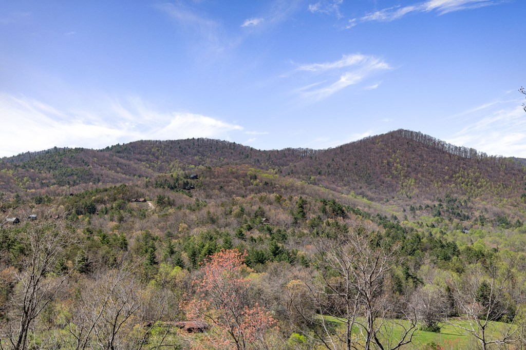 4 High Ridge Road Epworth, GA 30541 - Photo 53 of 72
