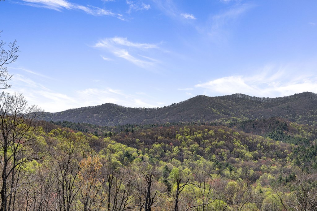 4 High Ridge Road Epworth, GA 30541 - Photo 67 of 72
