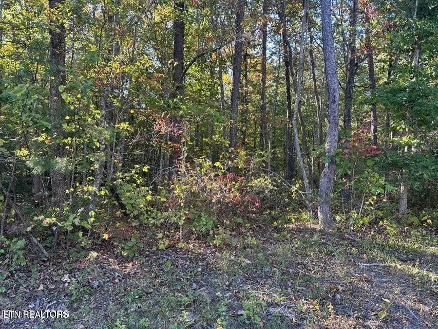 0 Falling Leaf Road Jamestown, TN 38556 - Photo 14 of 35 Gallery Image 14